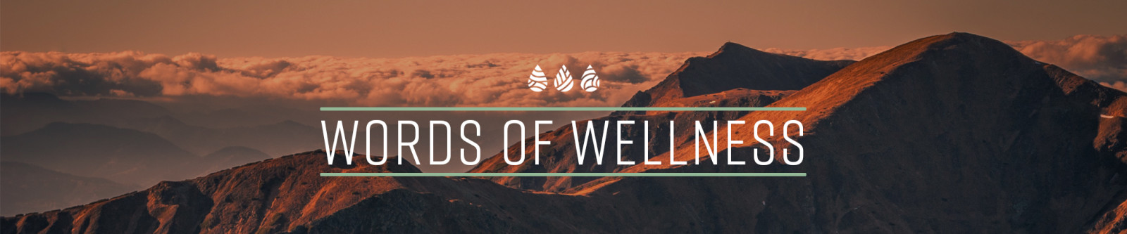 words of wellness words over nature landscape