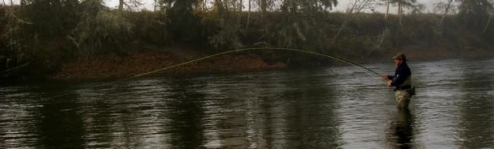 man fly fishing standing in water Logo