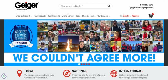 Geiger website homepage Logo